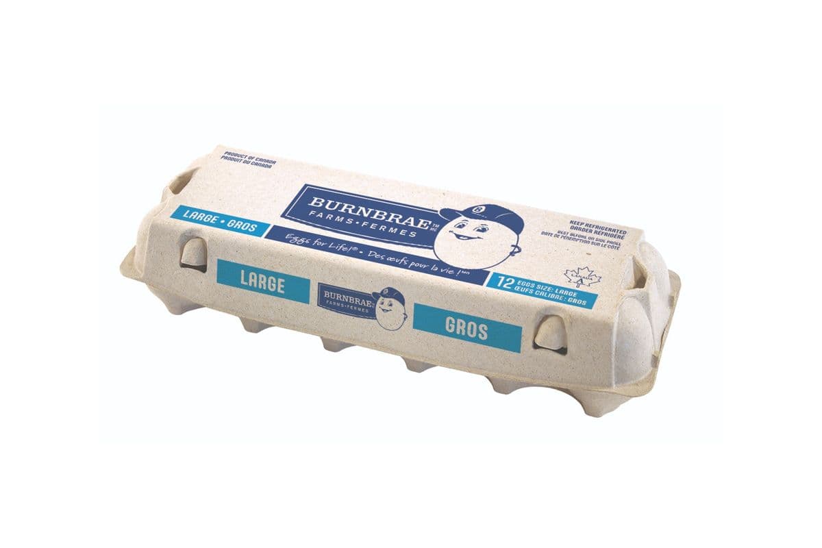 Eggs Large (12 Pack)