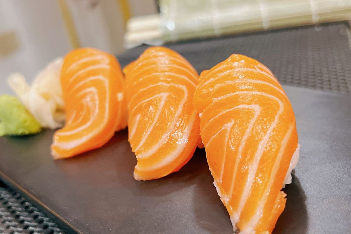 Salmon