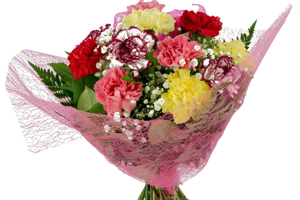 Dozen Carnation Bouquet