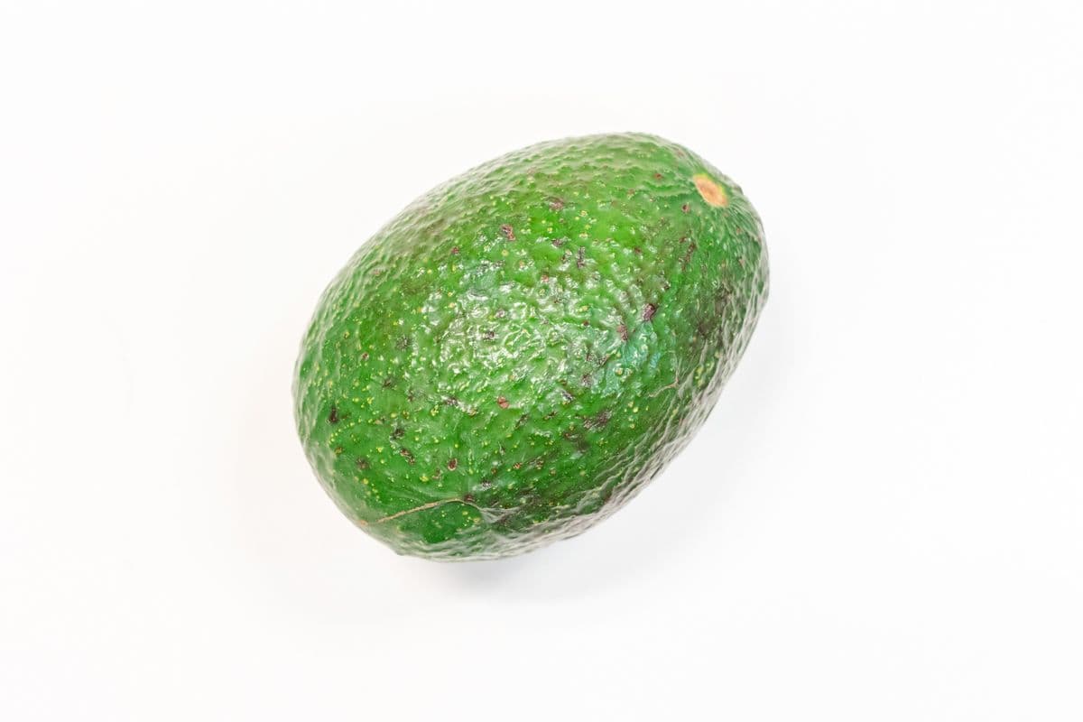 Large Avocado - Mexico