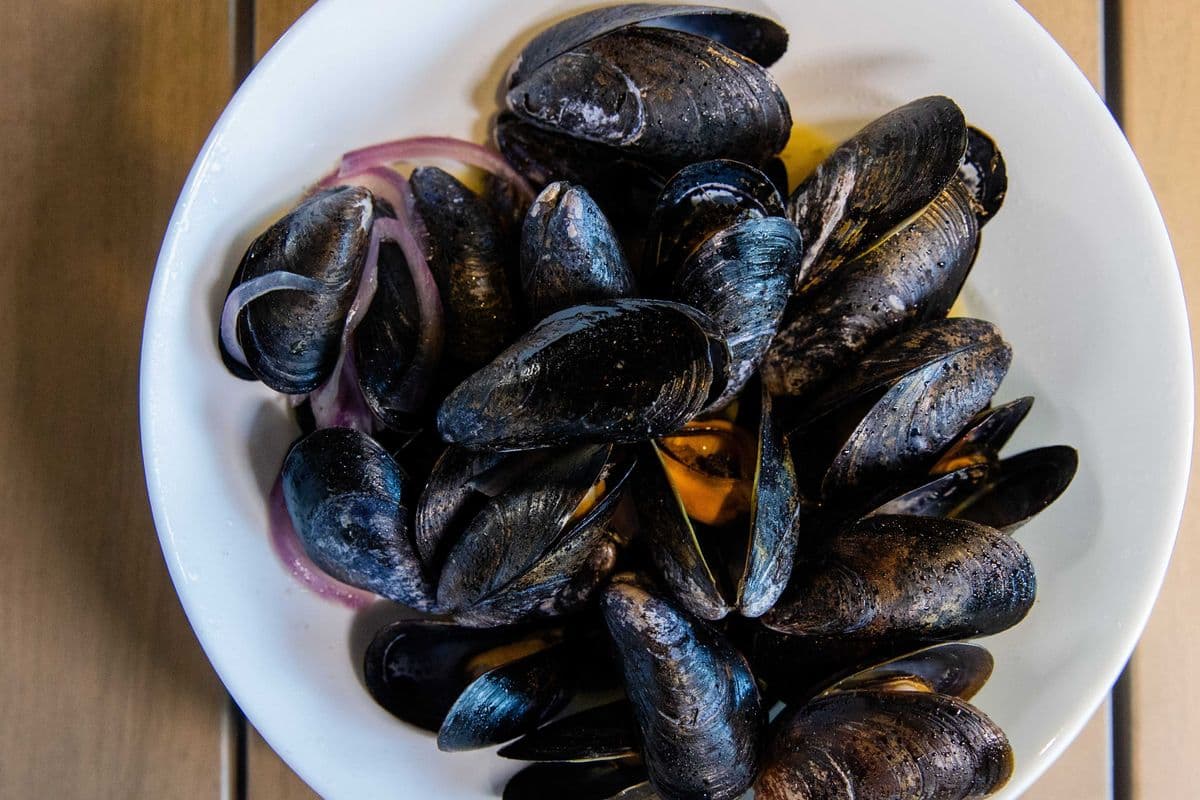 Mussels 1lb