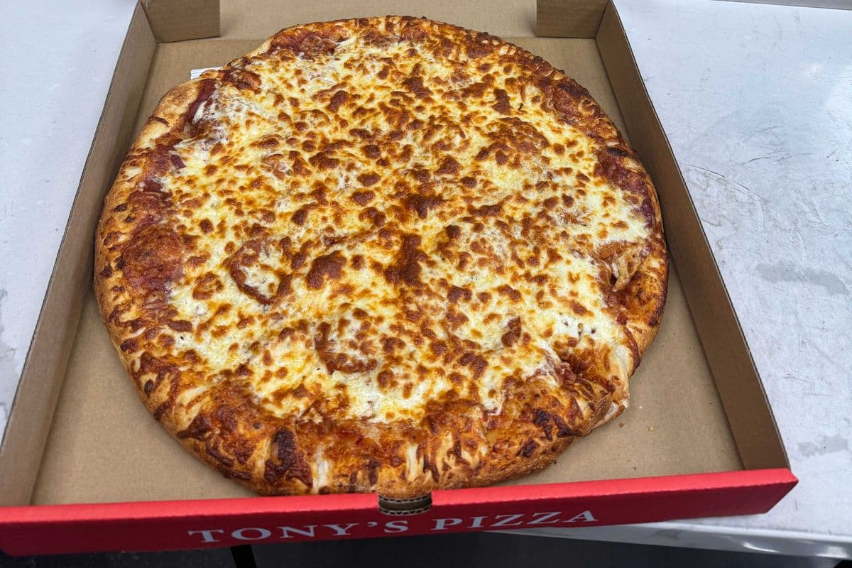 15" Large Plain Pizza
