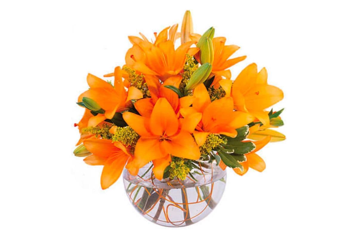 Orange Lily Sorbet Bouquet