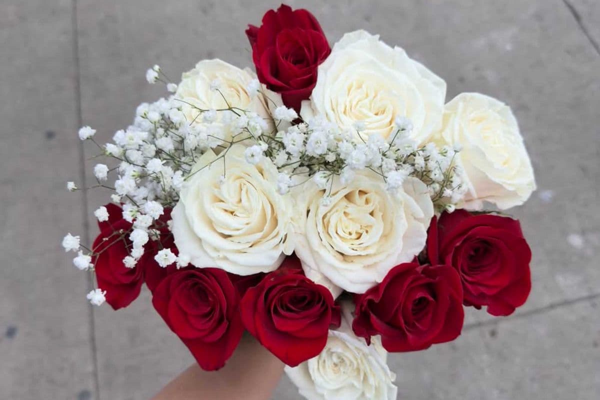Mix Red and White Roses - 1 Dozen (12 Stems)