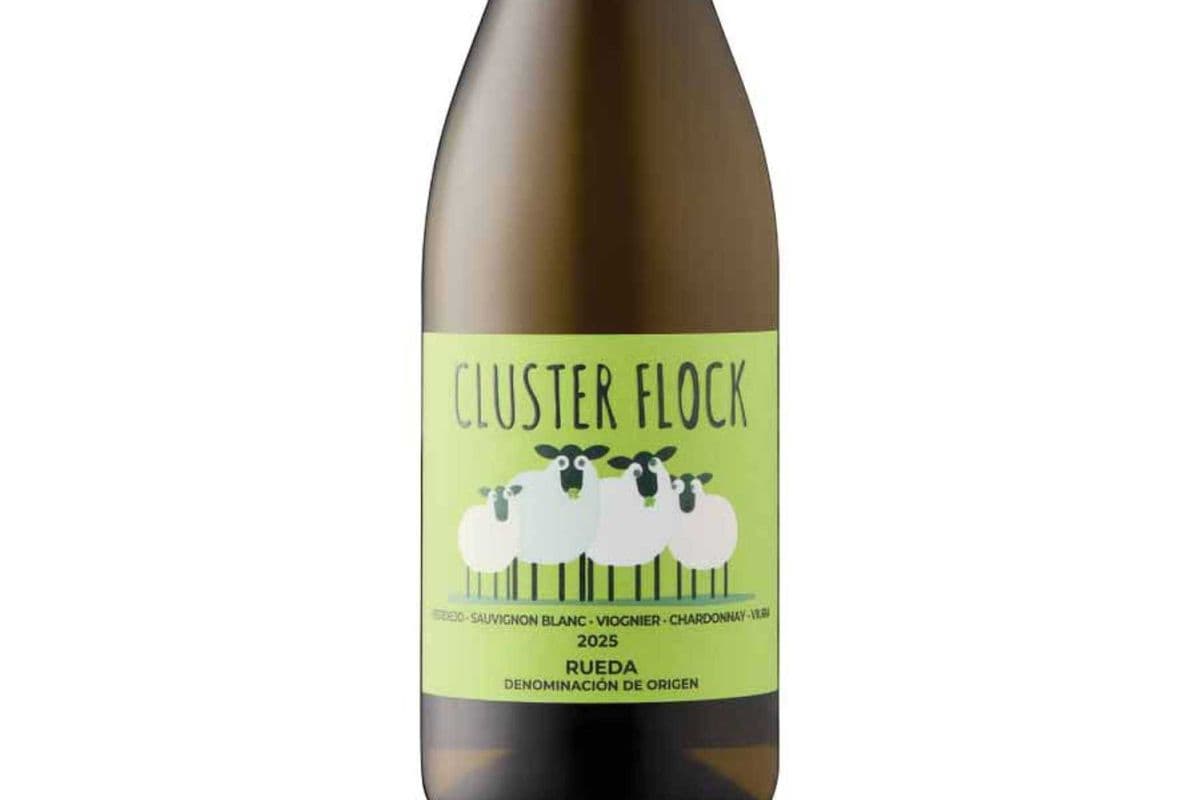 Spain - Cluster Flock White Blend, Valencia - 750ml (1 x 750mL)