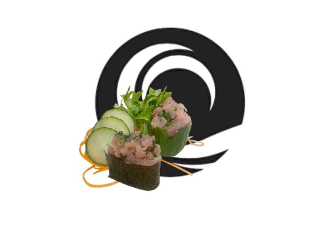 Negi Toro