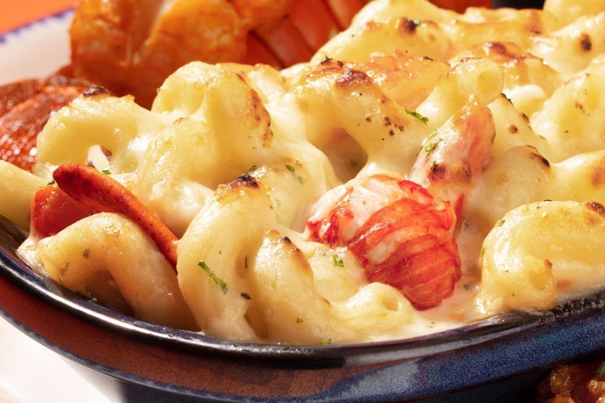 Lobster Pasta au Gratin
