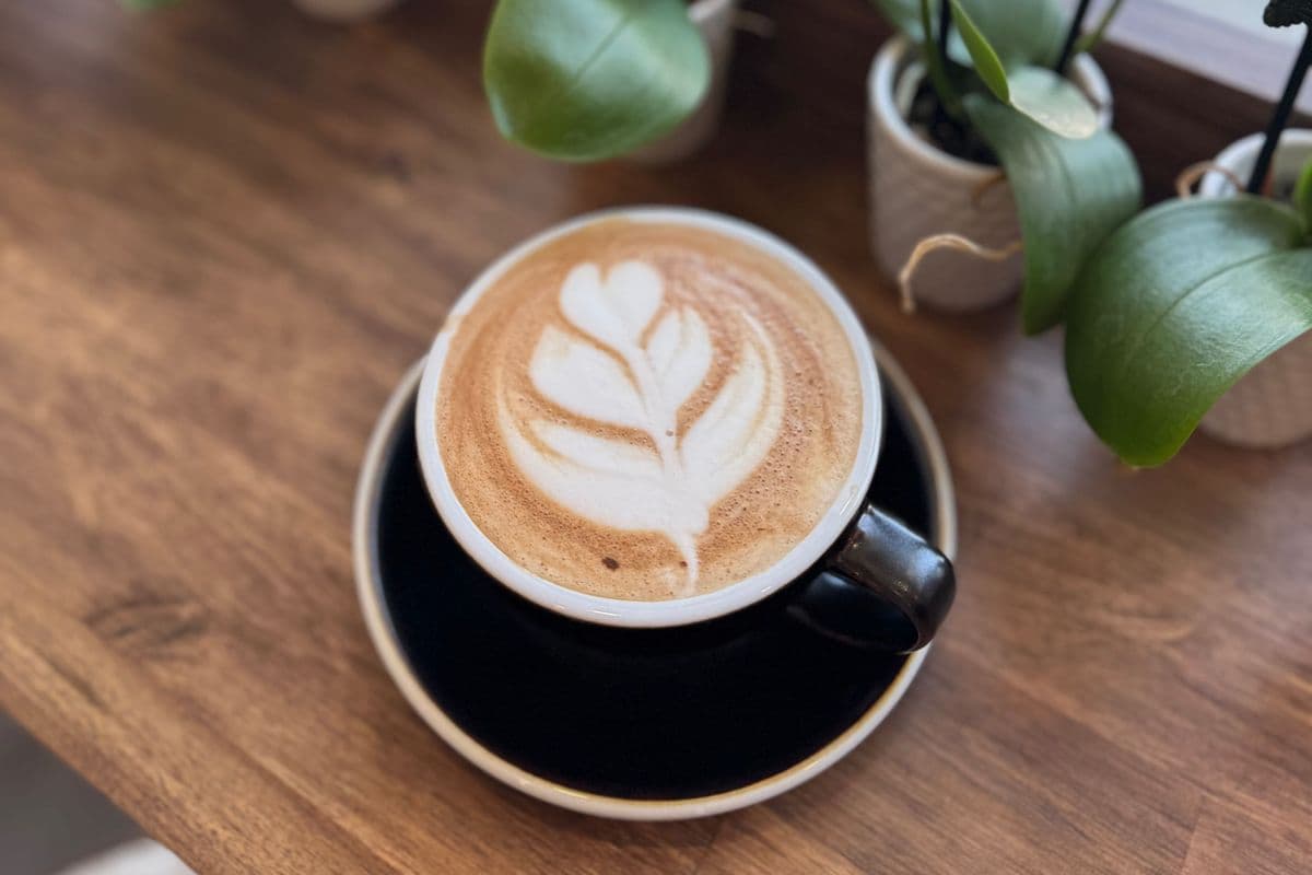 Mocha