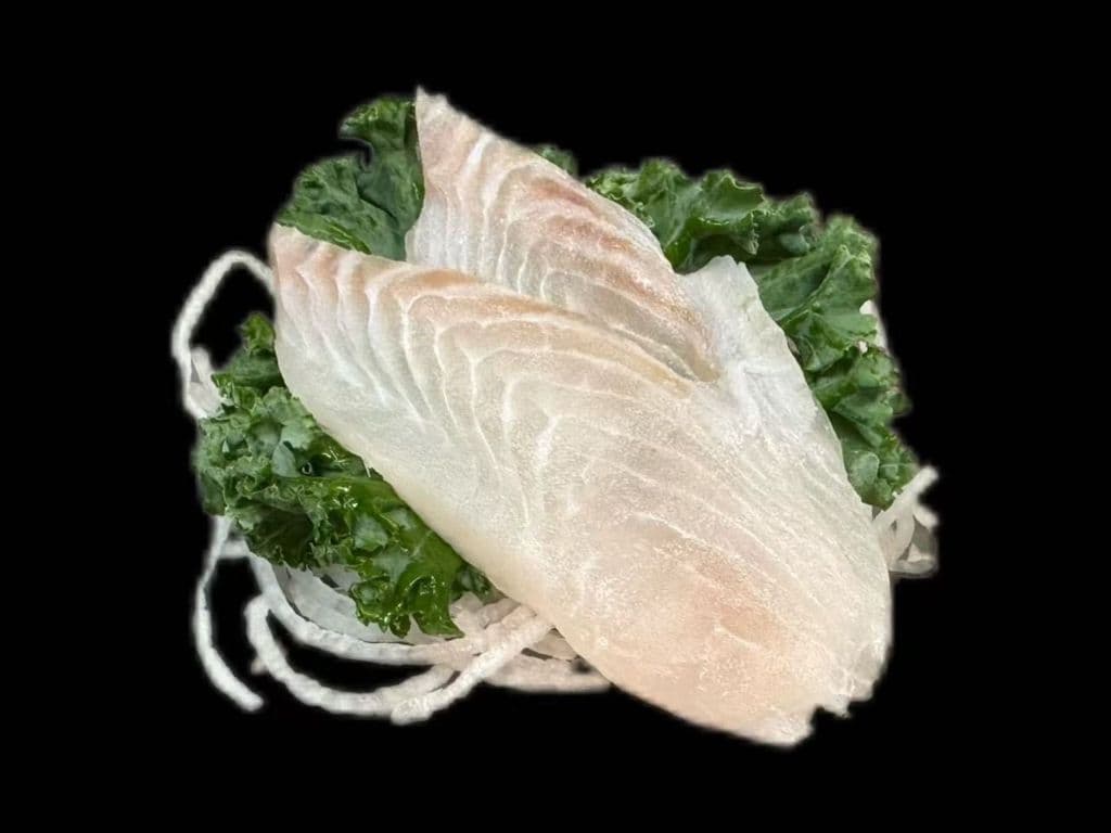 Snapper SA(6pcs)