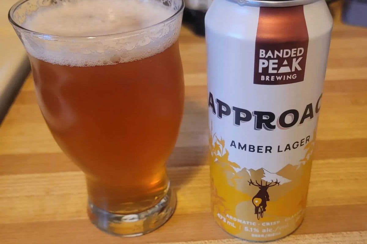 BANDED PEAK APPROACH AMBER-4PACK (1 x 4PACK-473ML)