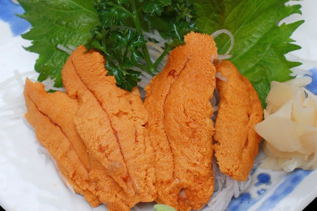 Uni Sashimi ( 5 pcs)