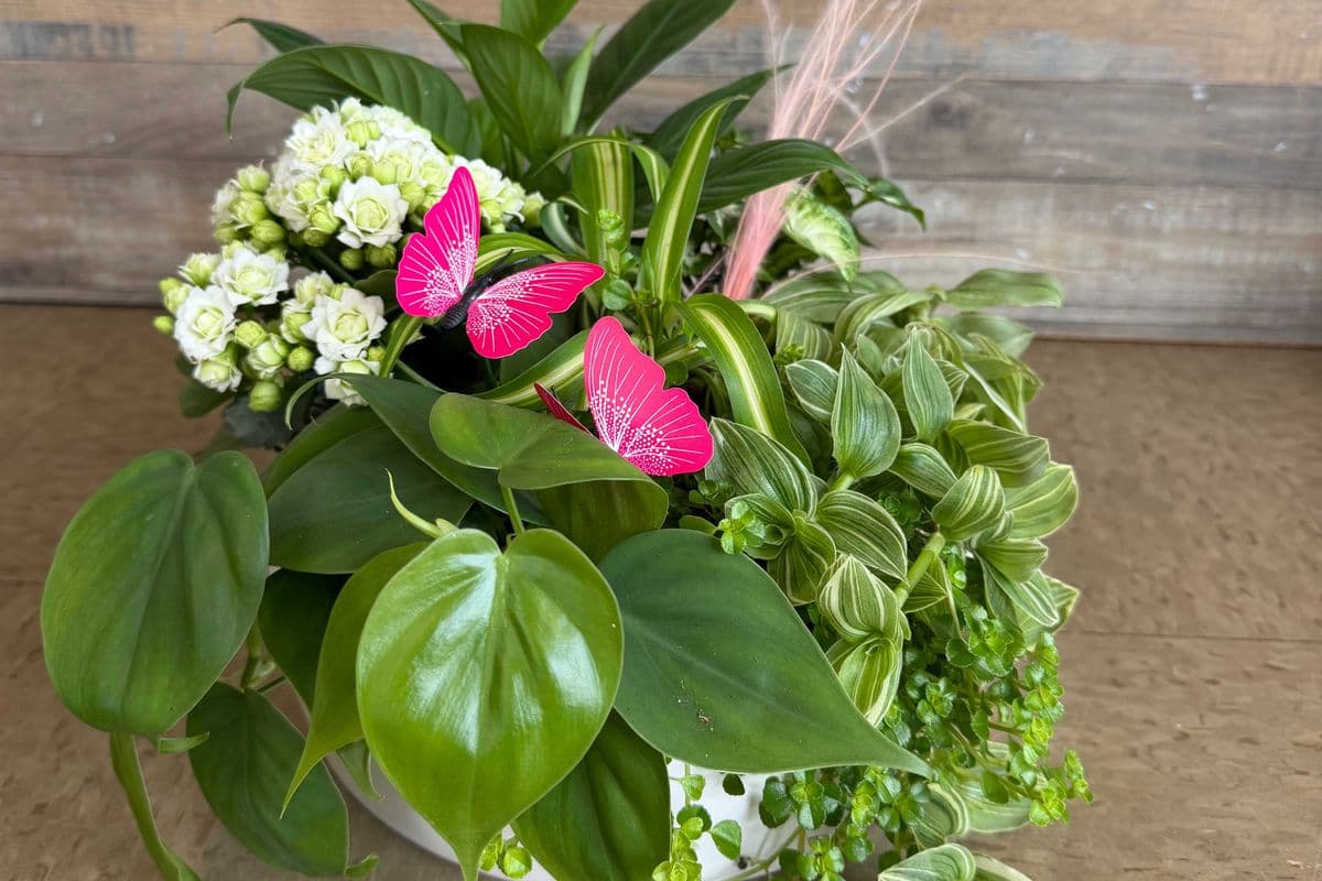 Mixed Planter~ Designer's Choice