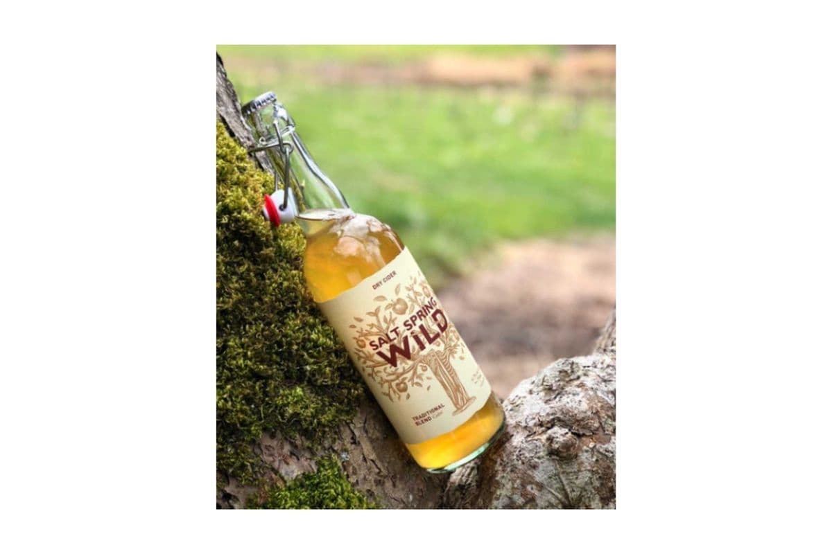 Salt Spring Dry Cider (1 x 750 ml)