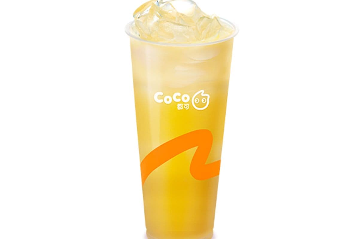 Green Tea Probiotic Drink