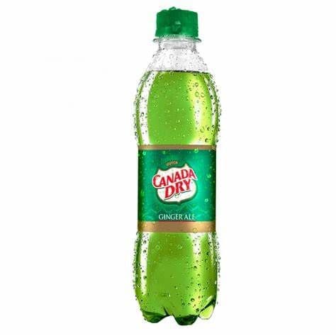 Ginger Ale Bottle (Plastic)