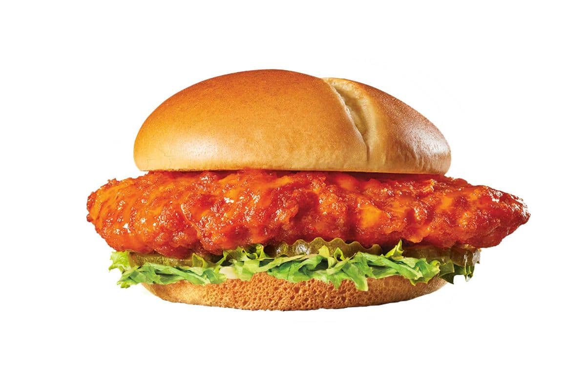 Fire It Up Chicken Burger and Fries