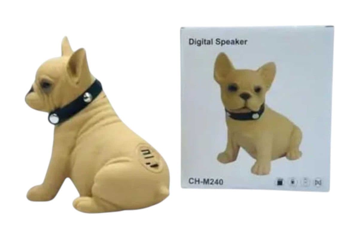 Digital Speaker CH-M240