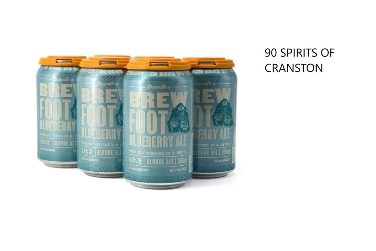 BREWSTERS BREWFOOT BLUEBERRY ALE 6 CANS (1 x 6x355ML)