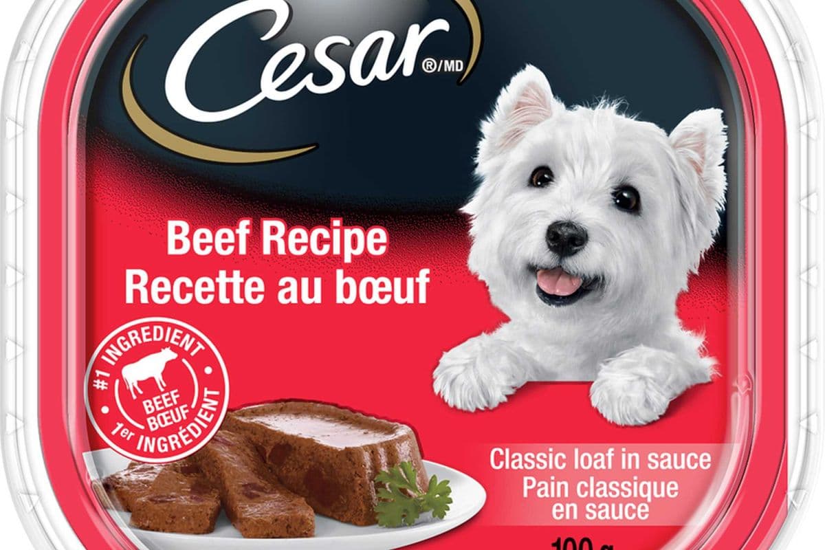 Cesar Dog Food - Beef Recipe 100g
