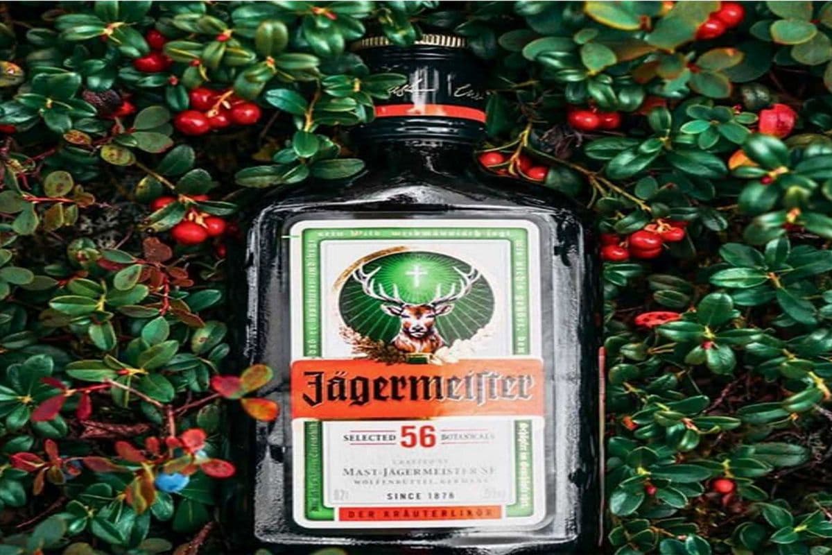 JAGERMEISTER (1 x 375ML)
