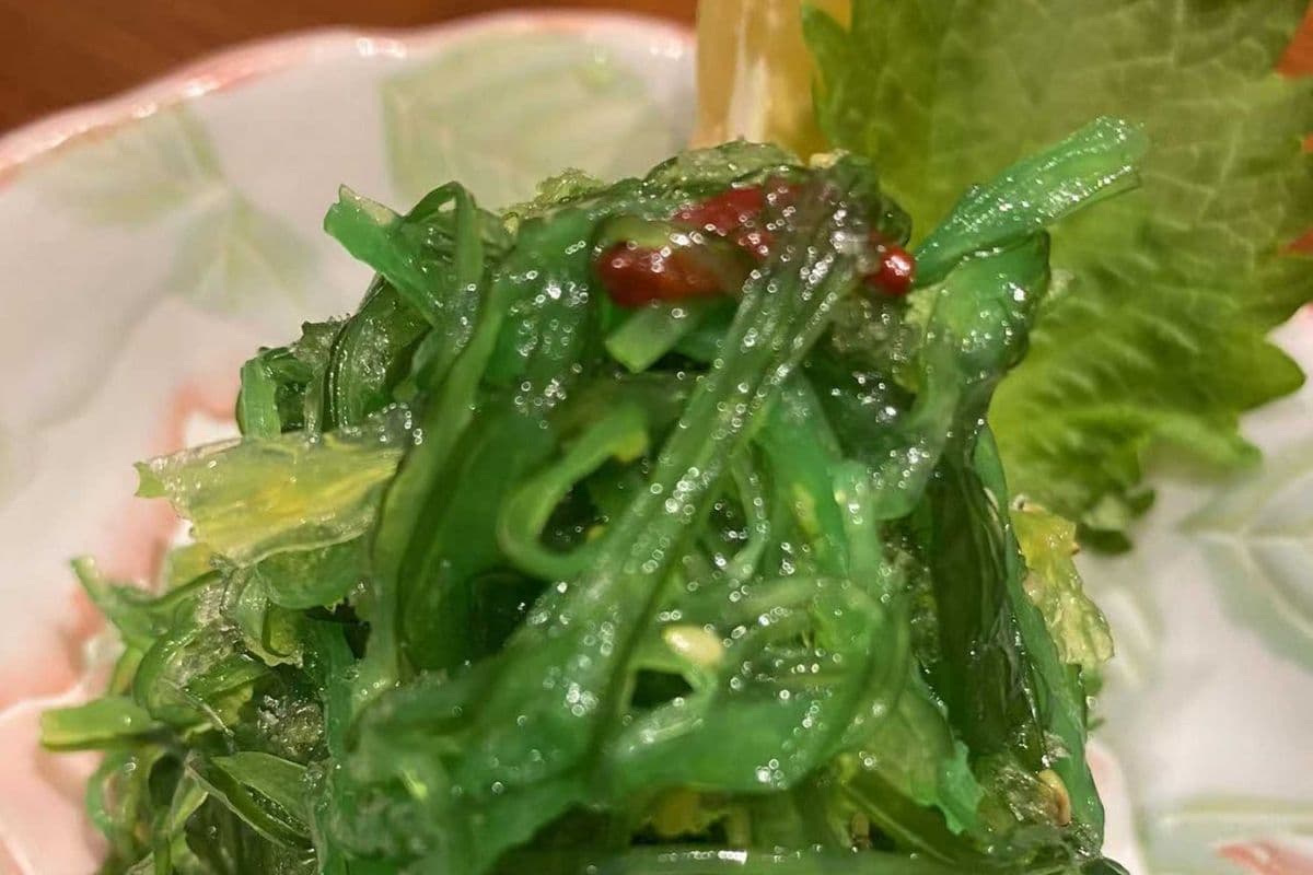 Seaweed