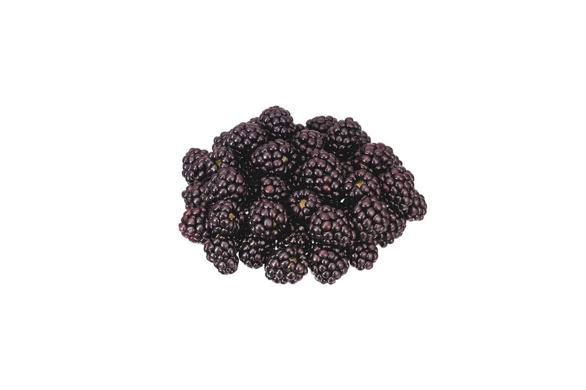 Blackberries (170 g)