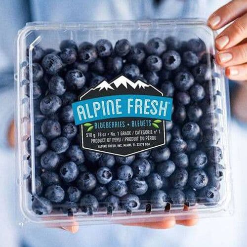 Bluet (170g) / Blueberries (170g)
