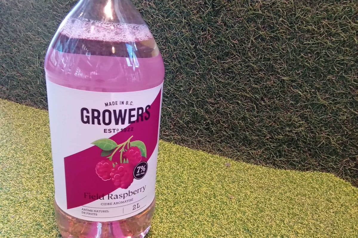 Growers Field Raspberry Cider (1 x 2L)