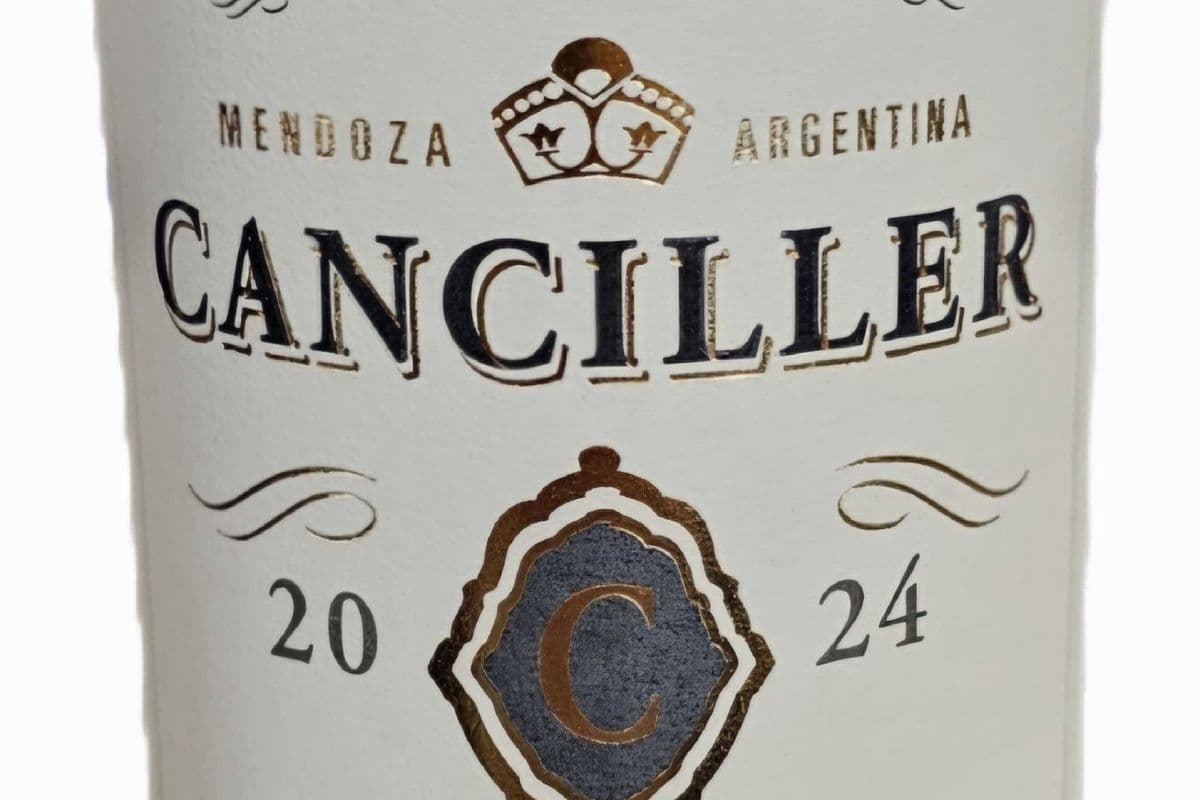 CANCILLERE Malbec (750ml Bottle) (1 x 750ml Bottle)