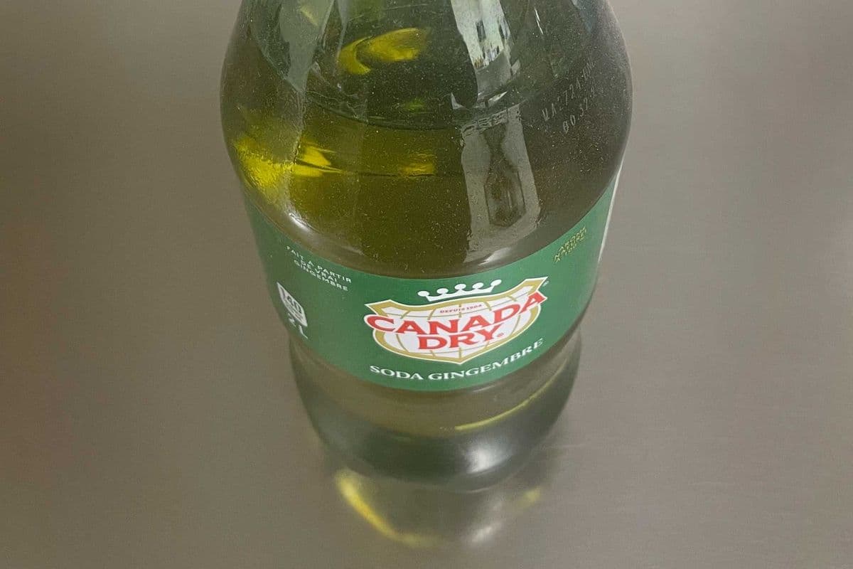 Ginger Ale (Bottle) (2 L)