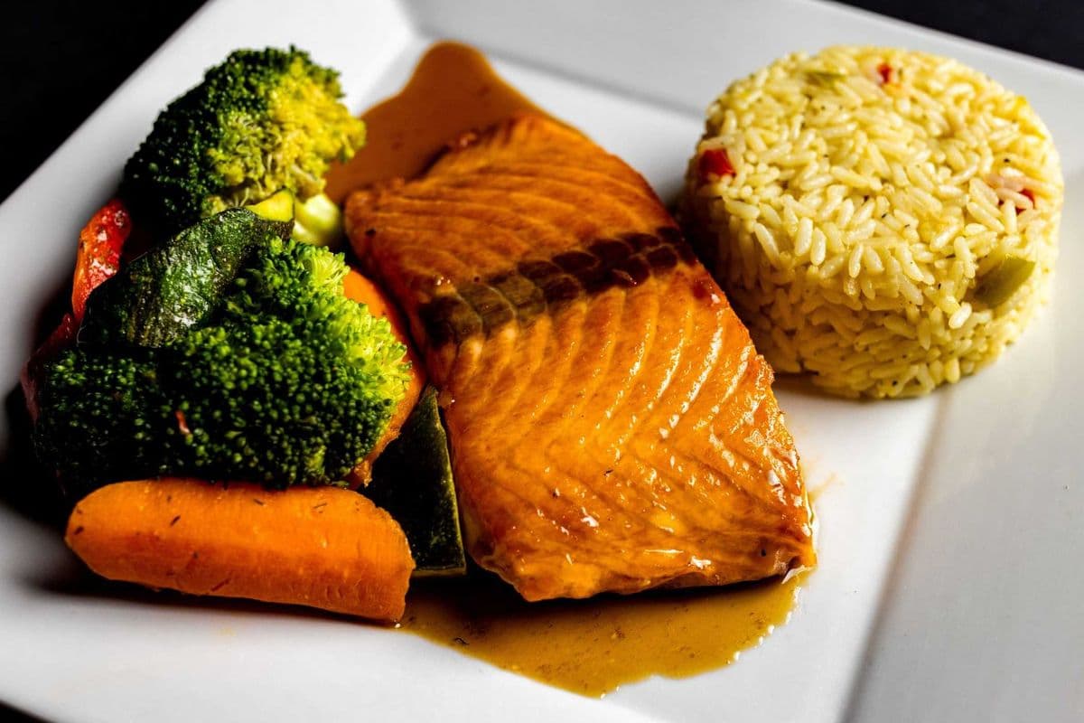 Coho Salmon