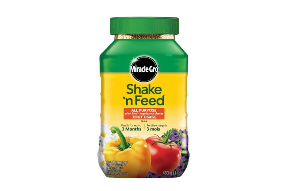 Miracle-Gro Shake N Feed All Purpose Plant Food 12-4-8 - 453g