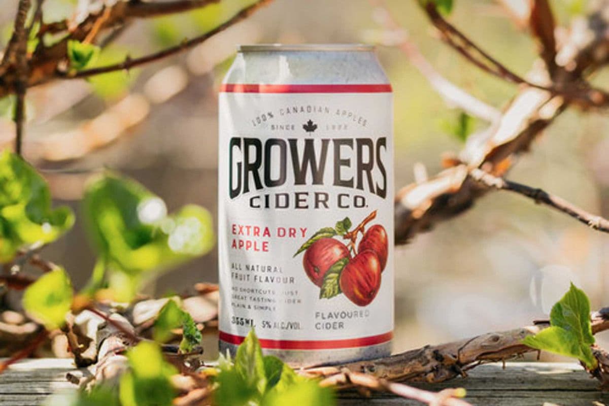 Extra Dry Apple (1 x 355 ml)