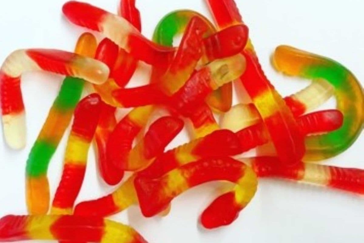 Vers en gélatine 125g