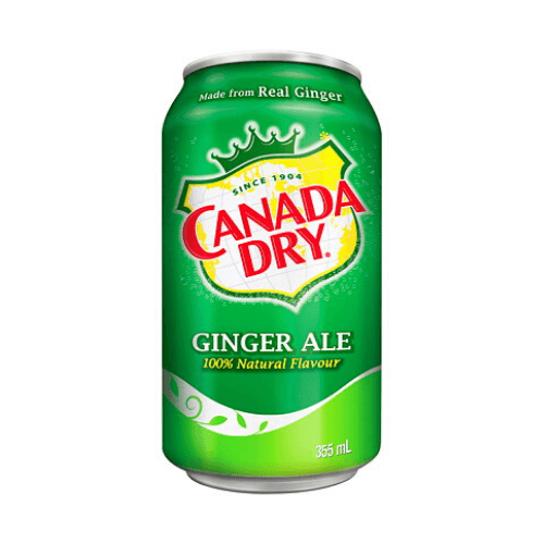 Soda au gingembre / Ginger Ale (355 ml)