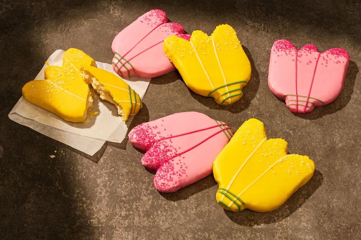 Tulip Cookie 6-Pack