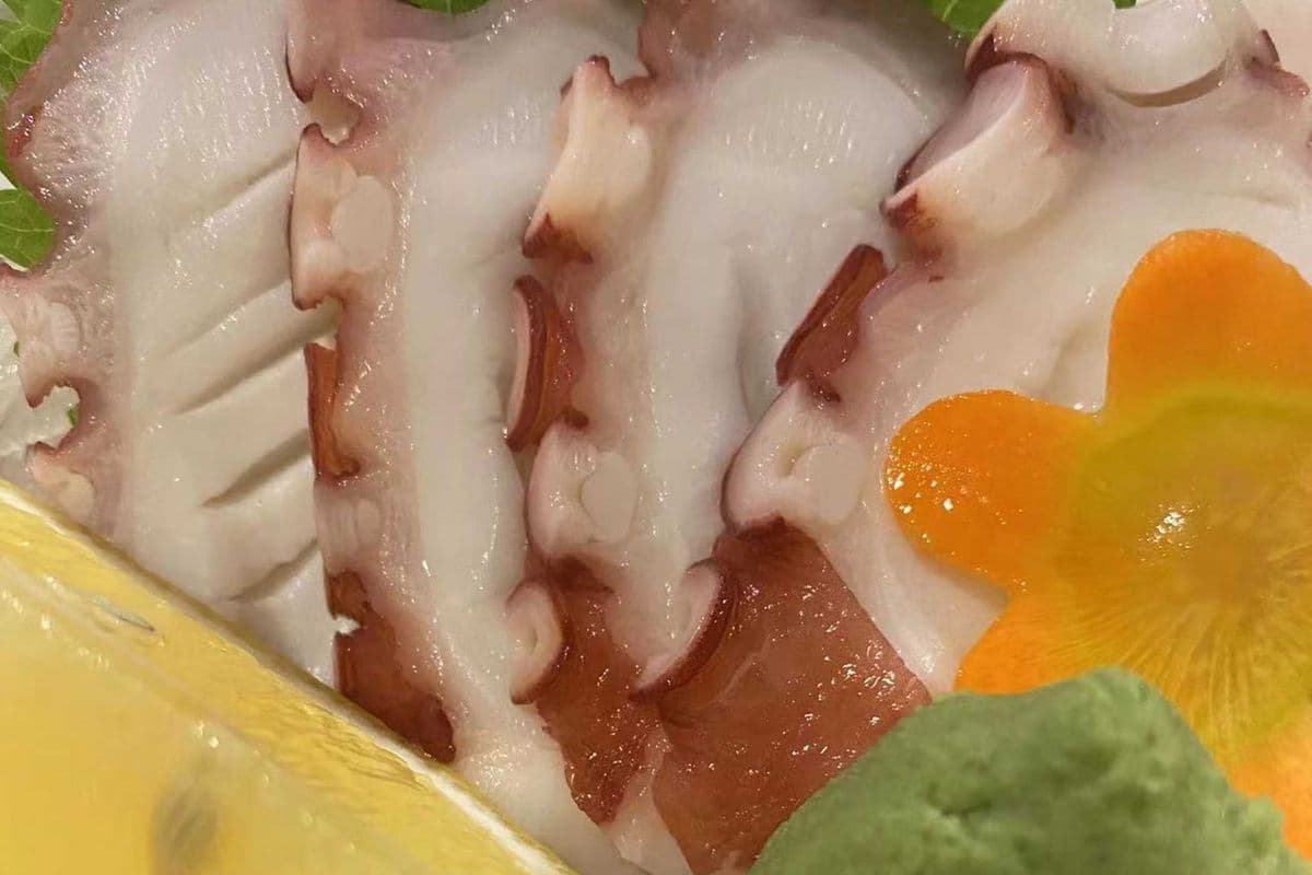 Tako Sashimi
