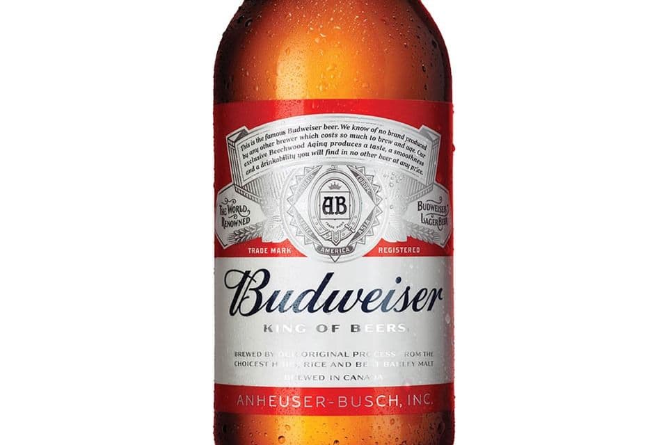 Budweiser (bouteille 341 ml) / Budweiser (341 ml Bottle) (1 x 341)