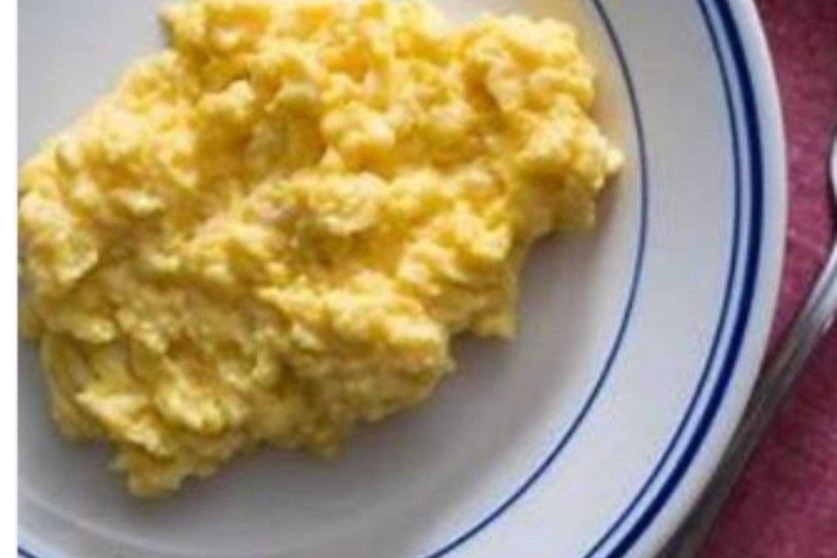 Egg Plates