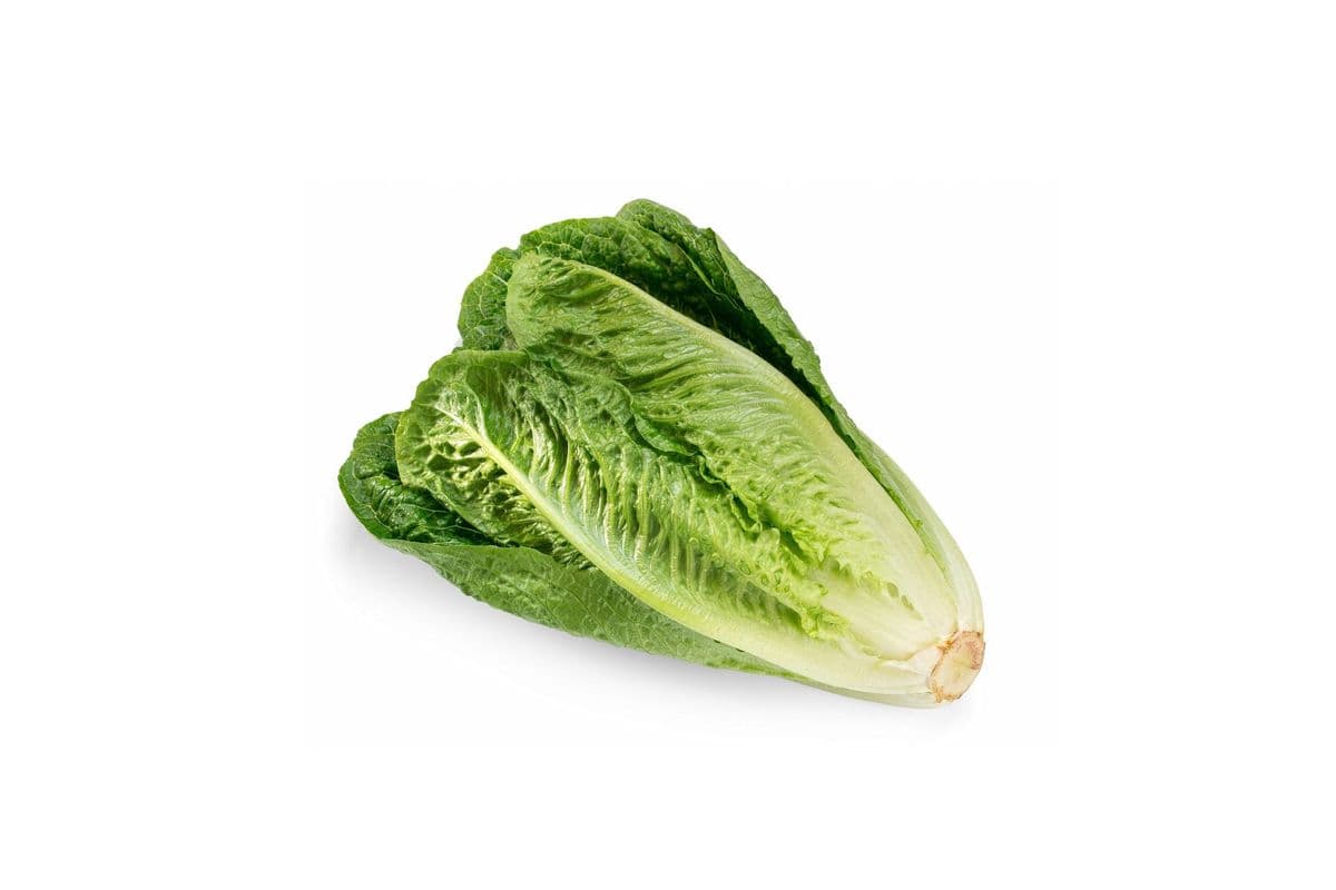 Romaine Lettuce (1 Count)