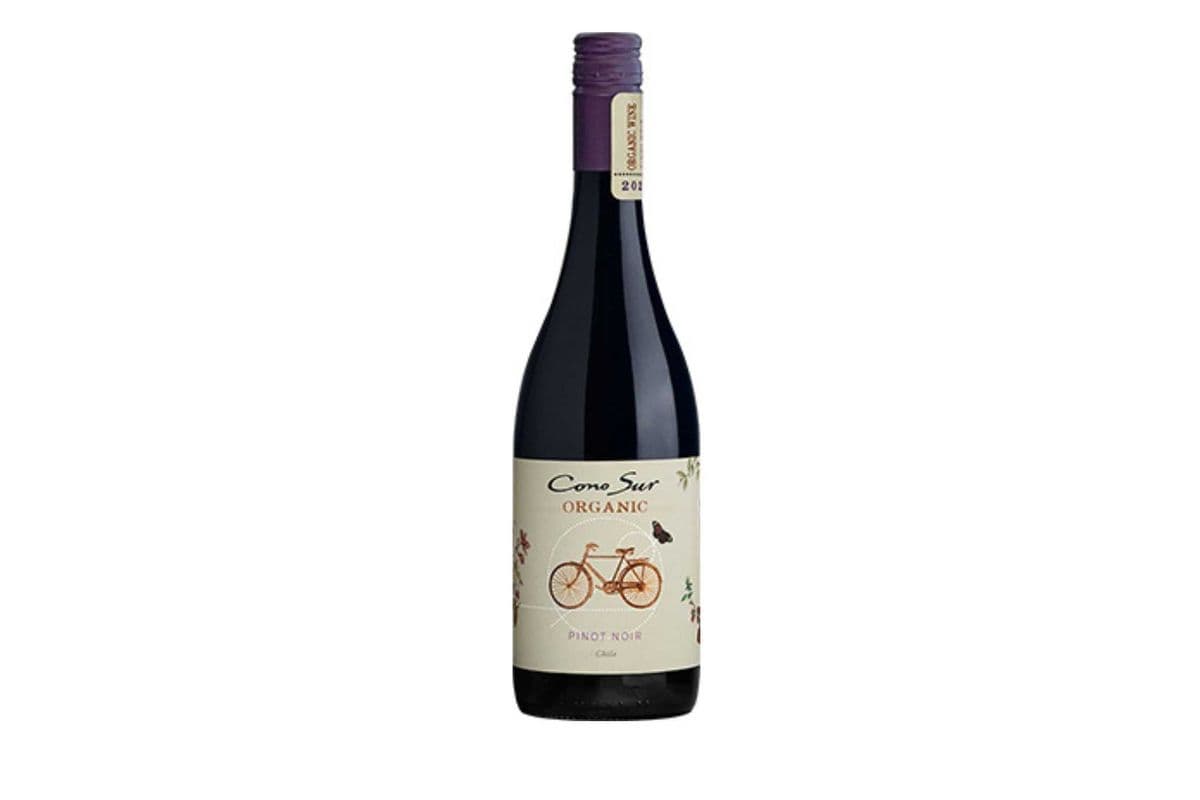 Cono Sur Pinot Noir Organic (Chile) (1 x 750 ml)