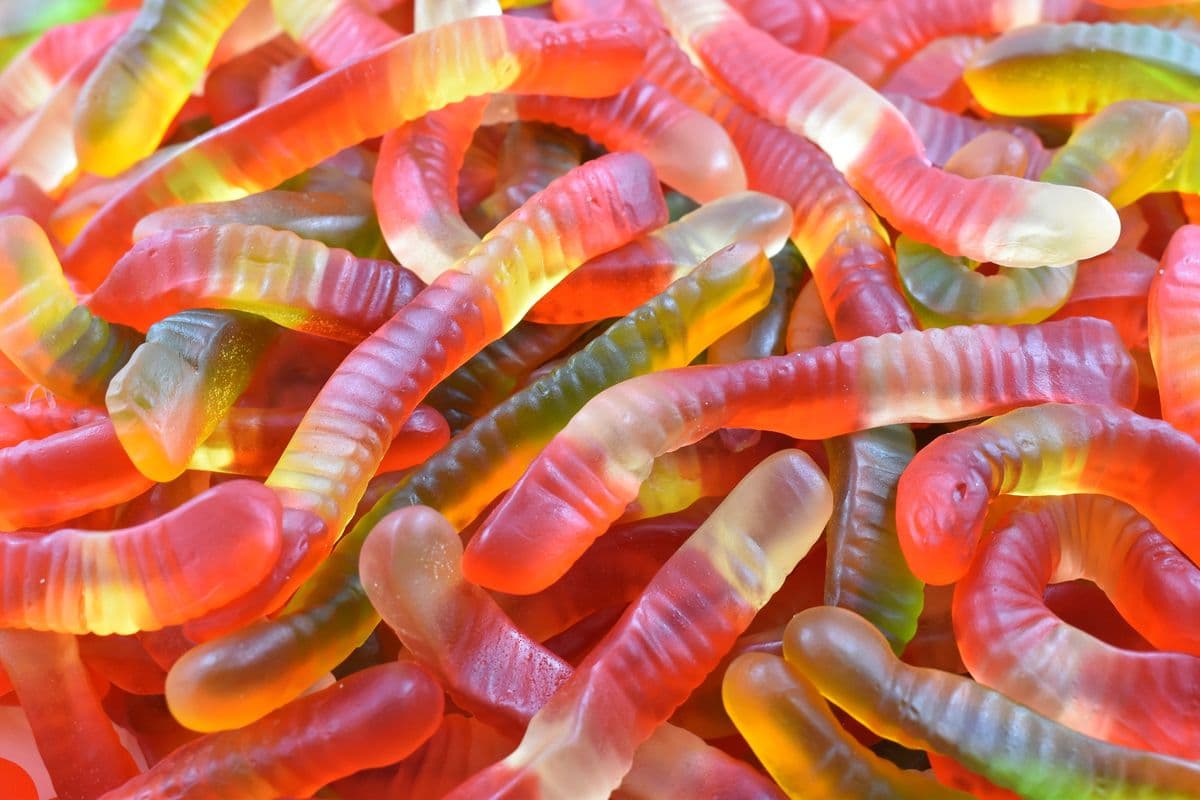 Vers en gelée (170g)