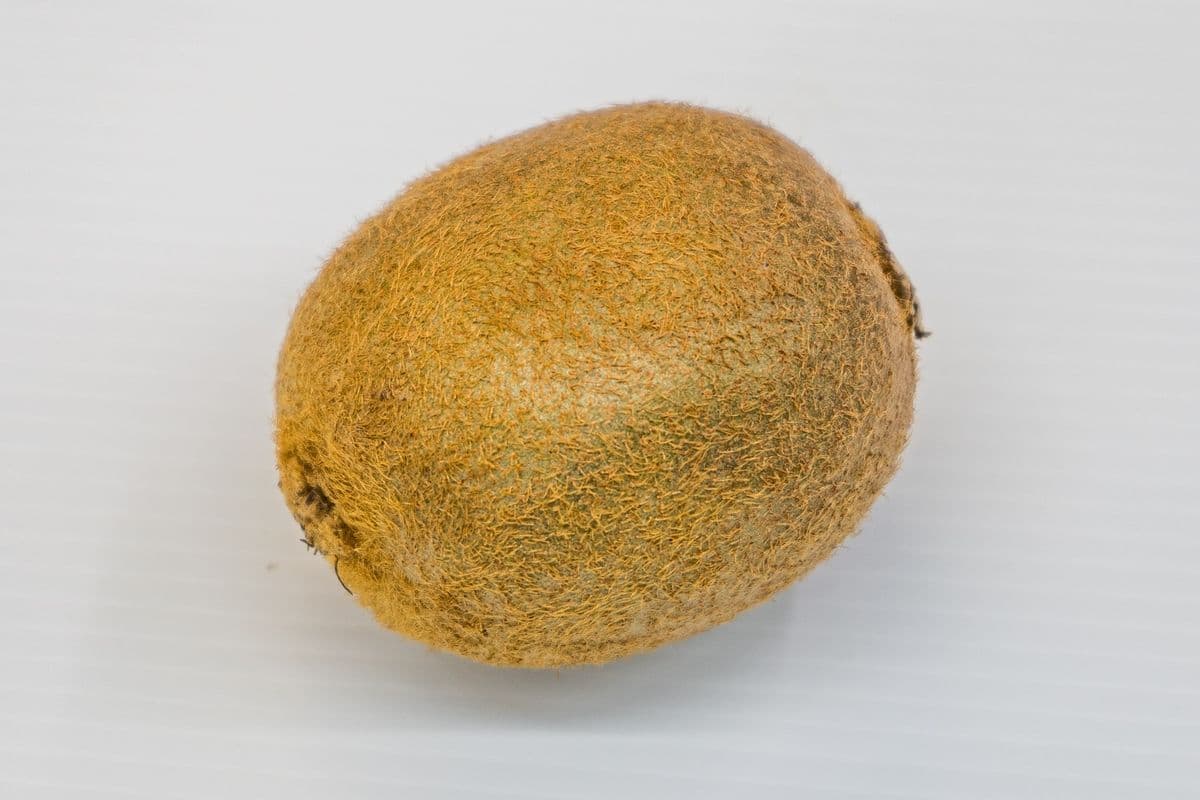 Kiwi (2 units)
