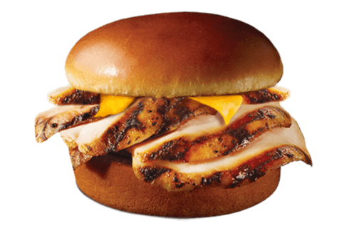 Marinated Chicken Sandwich