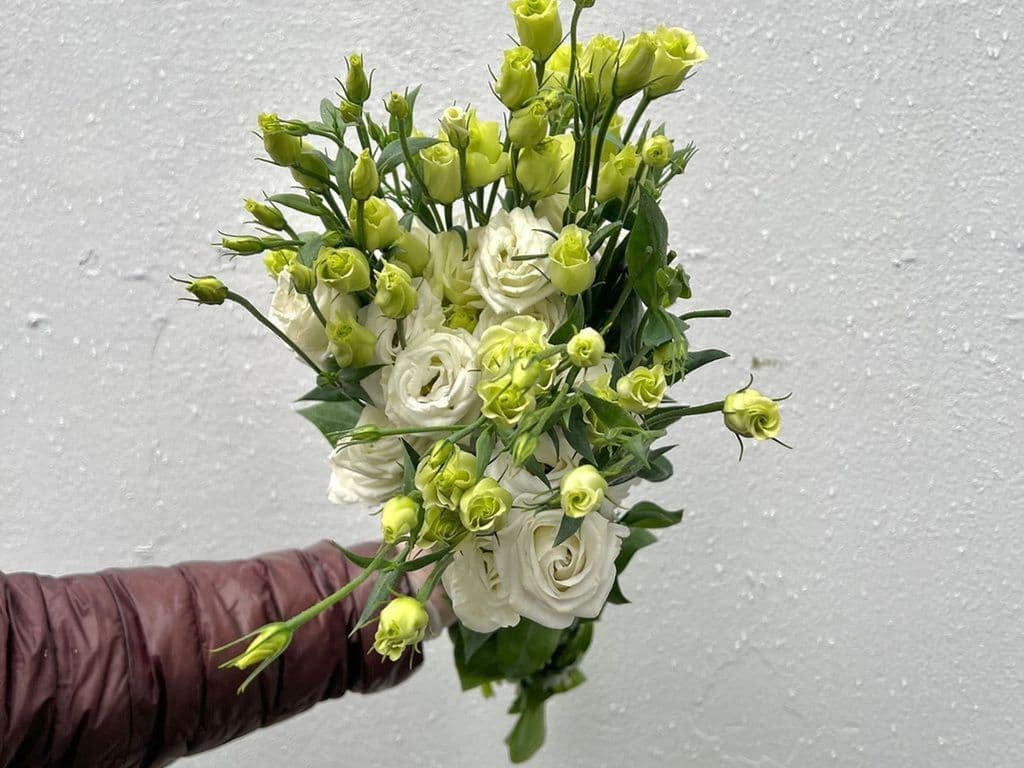 Flowers - Local Lisianthus white (5 stems)