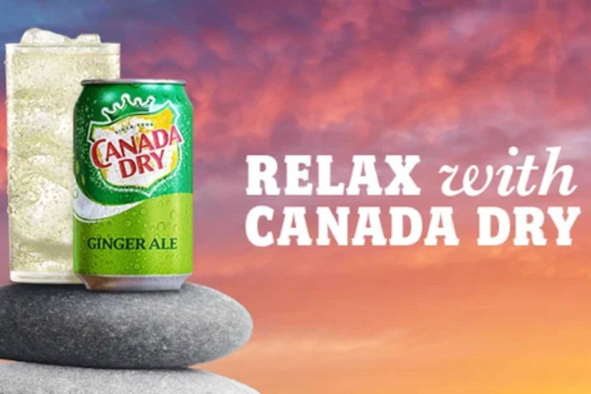 Canada Dry (355ml)