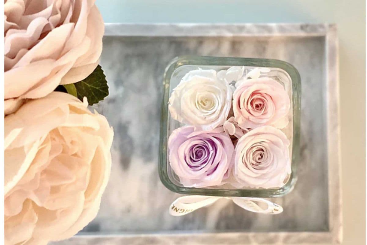 Lush 4 in Square Glass Vase