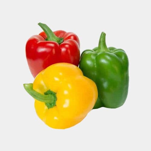 Poivron / Bell Pepper