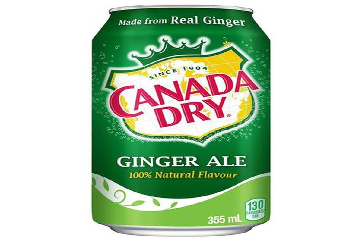 Ginger Ale (355ml)