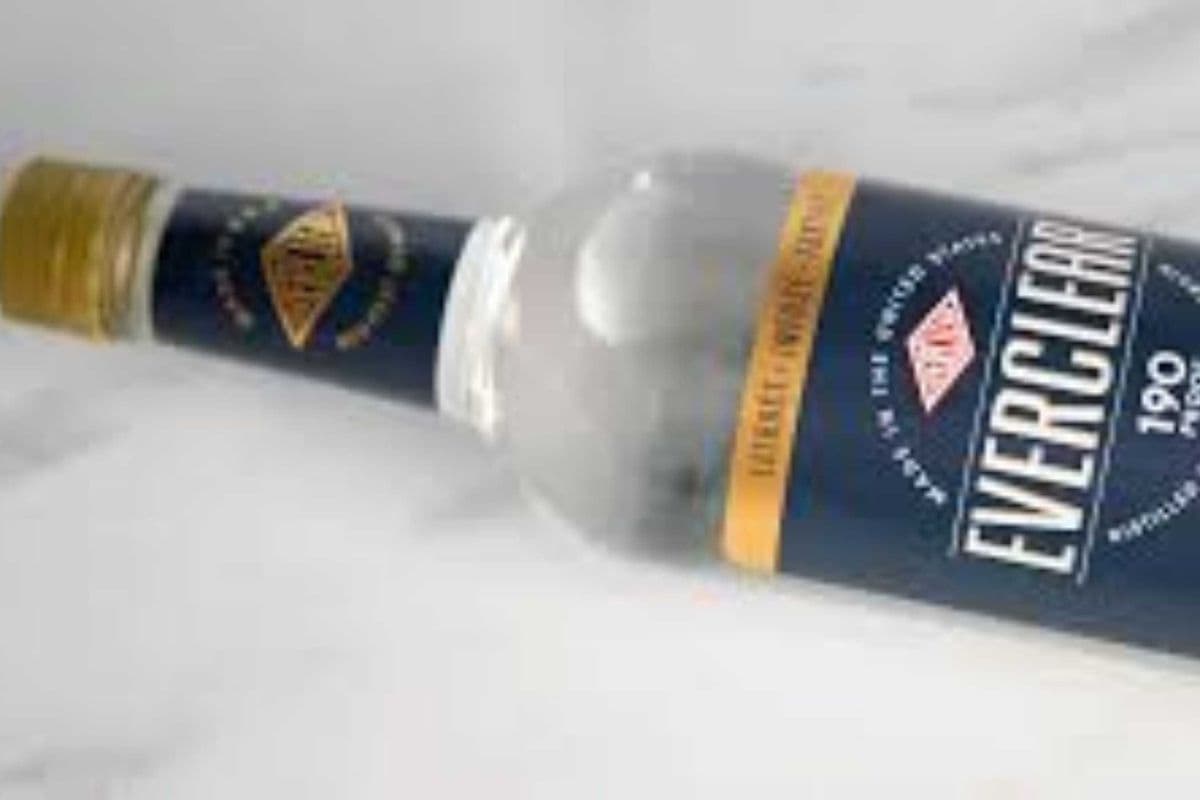 Everclear (1 x 750 ml Bottle)